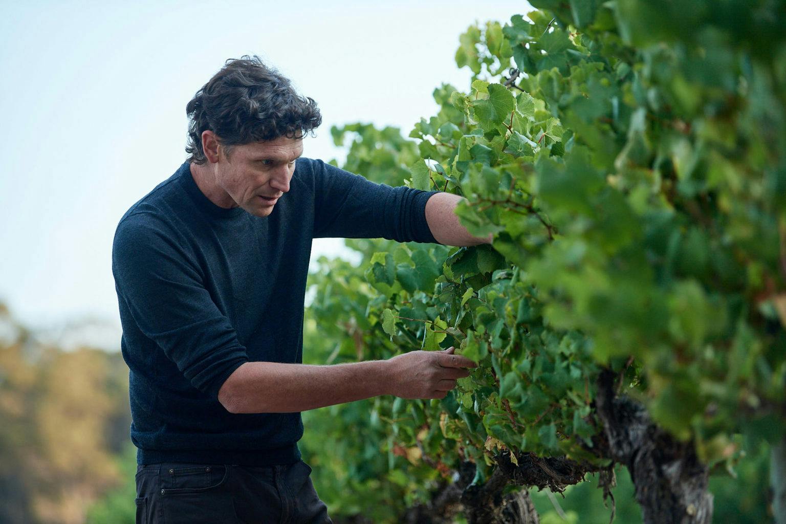 026 SGC4248 Copy 1536x1024