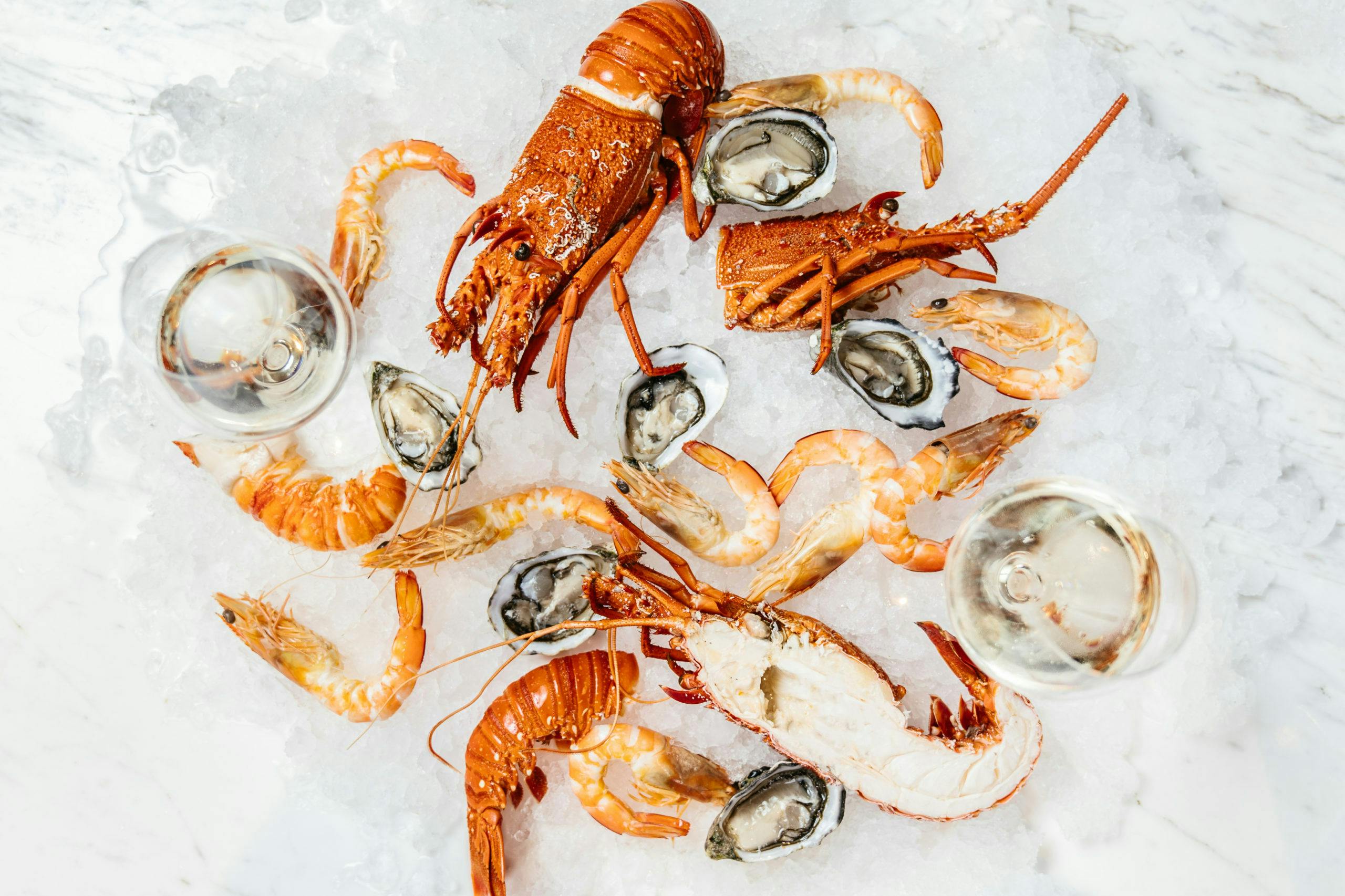 SHOTBYTHOM 07105 scaled 1