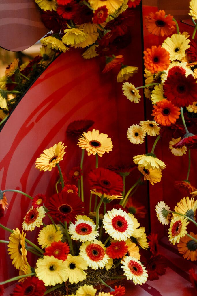 53 GATHER FLORALEXHIBITION 24 SEPT2023 RMOOLLA SET1 683x1024