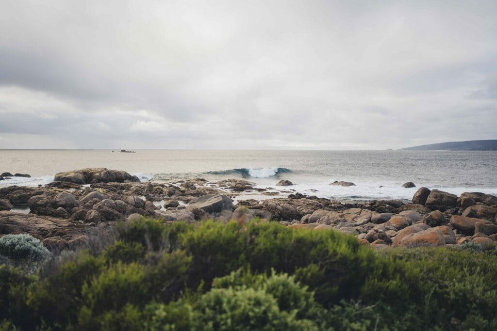 Shotbyovis low 003 1024x683