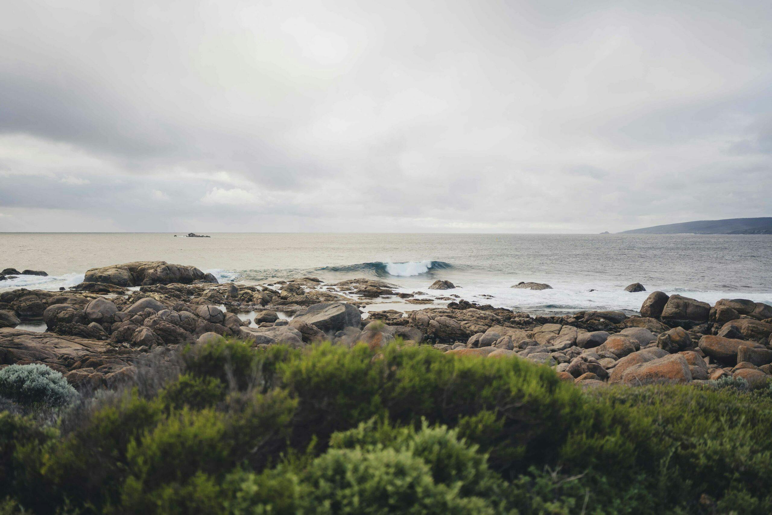 Shotbyovis low 003 scaled