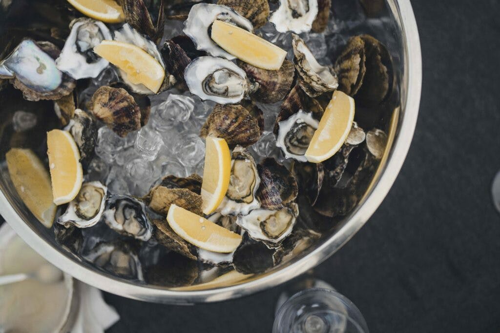 Shotbyovis low 041 1024x683