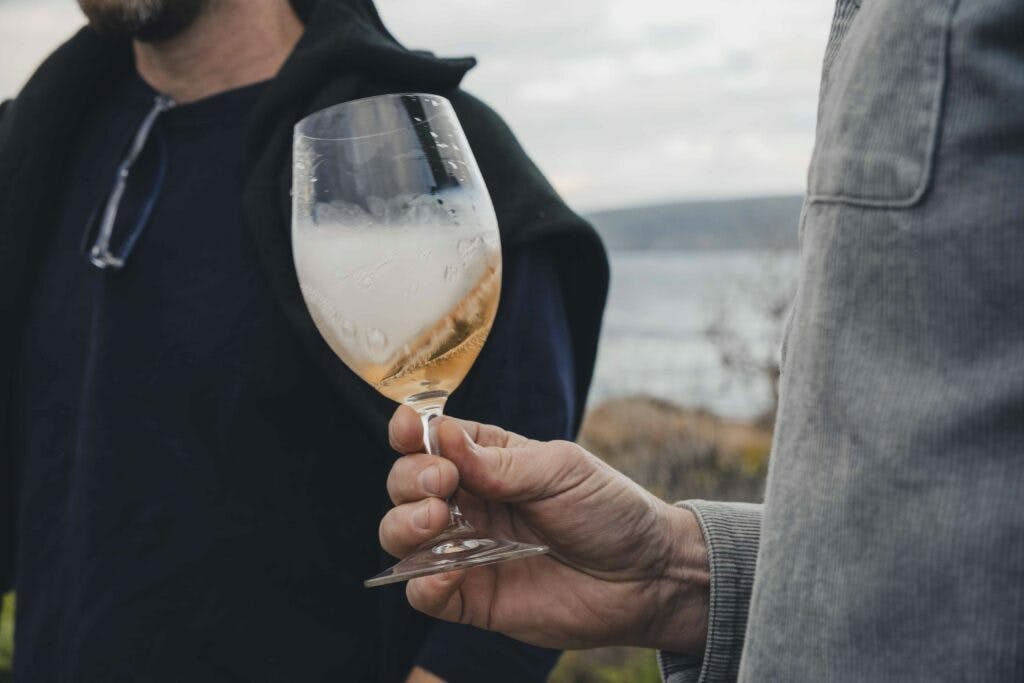 Shotbyovis low 052 1024x683