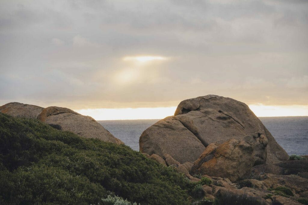 Shotbyovis low 062 1024x683