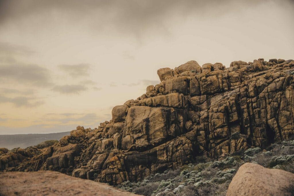 Shotbyovis low 118 1024x683