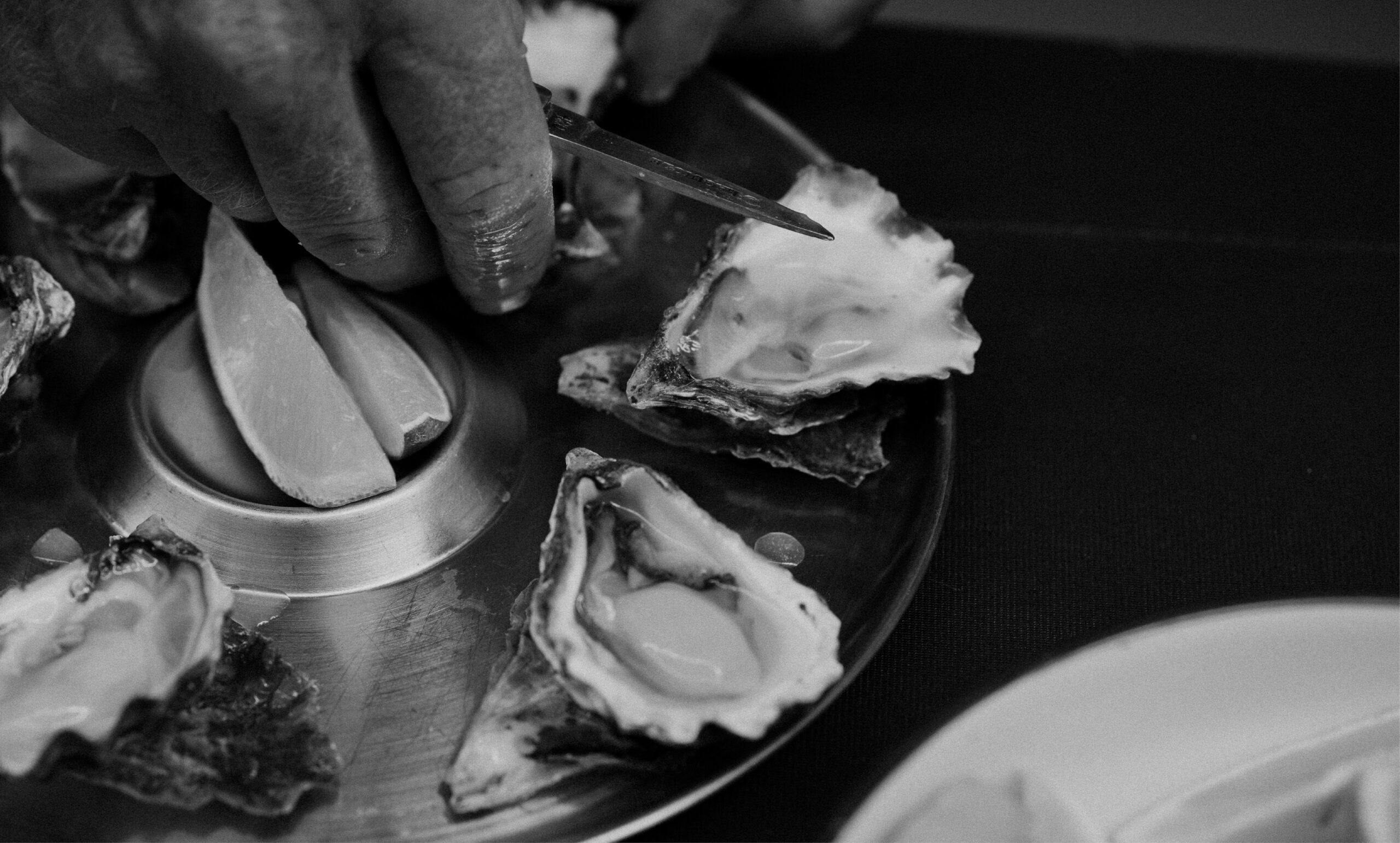 Oyster Masterclass Feature scaled