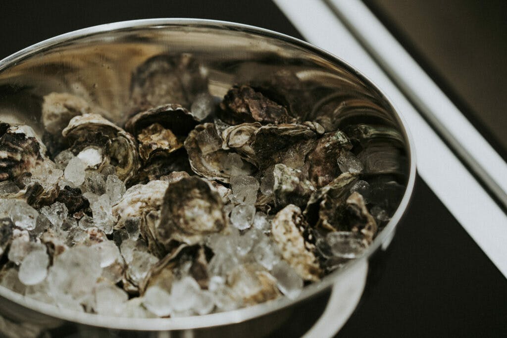 TOMPEARSALL COM 06664 1024x683