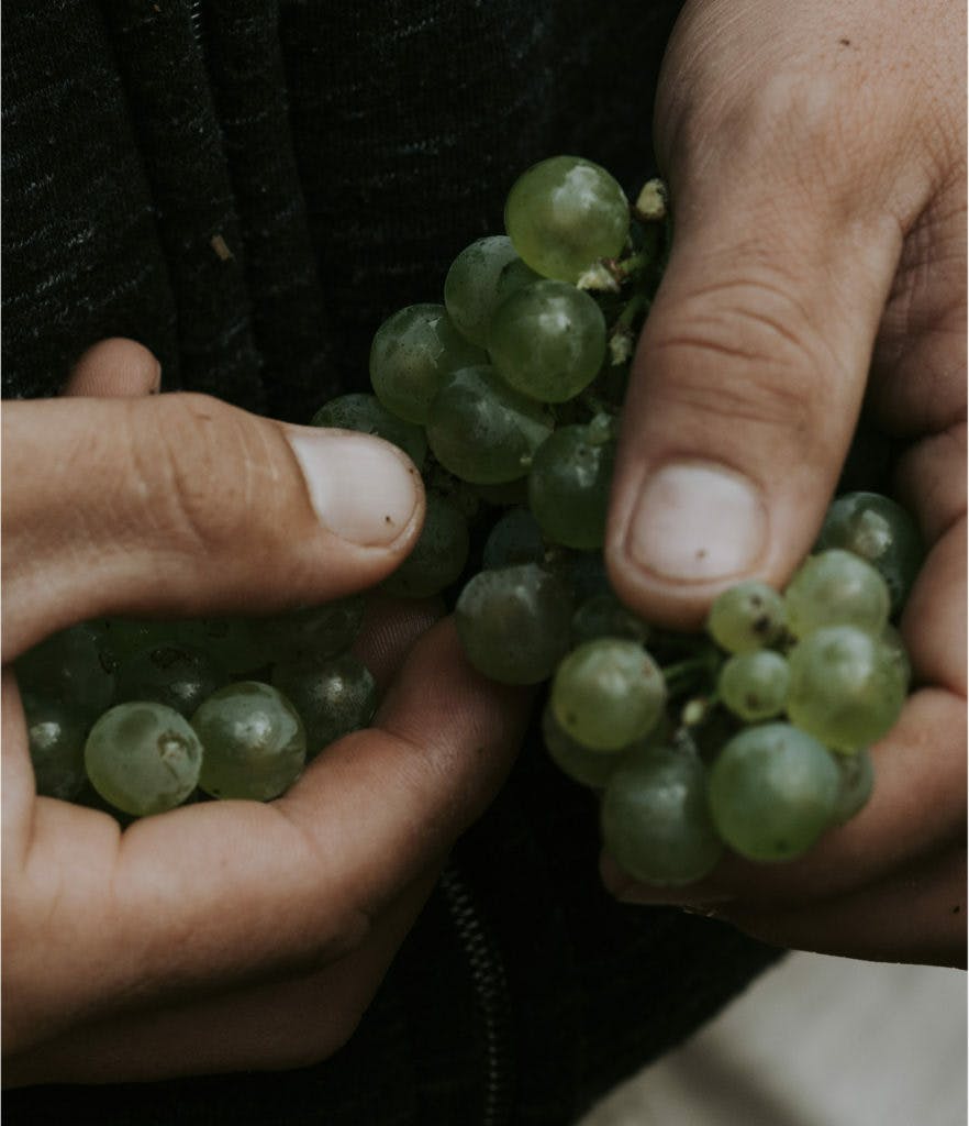 Karridale 10 882x1024