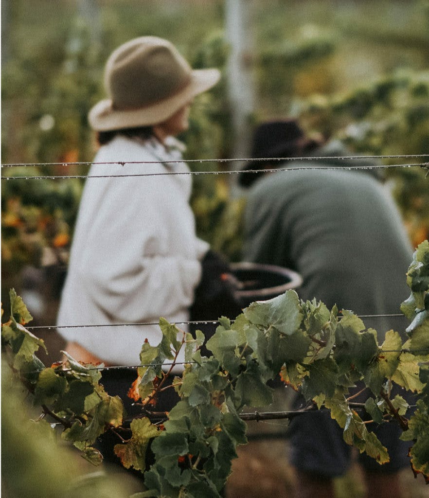 Karridale 2 882x1024