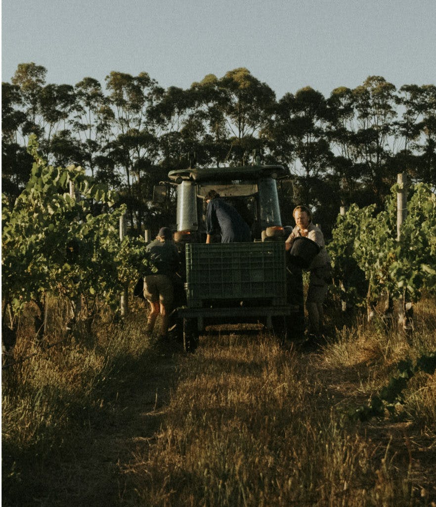 Karridale 3 882x1024