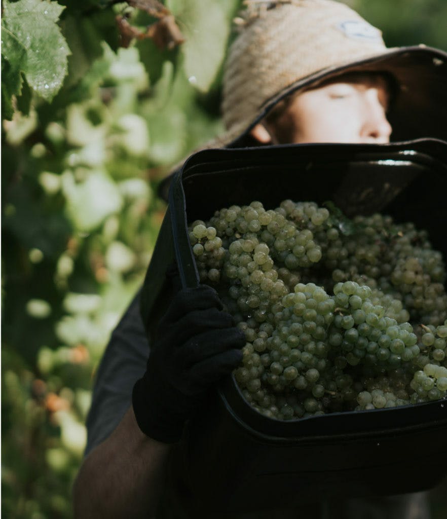 Karridale 5 882x1024