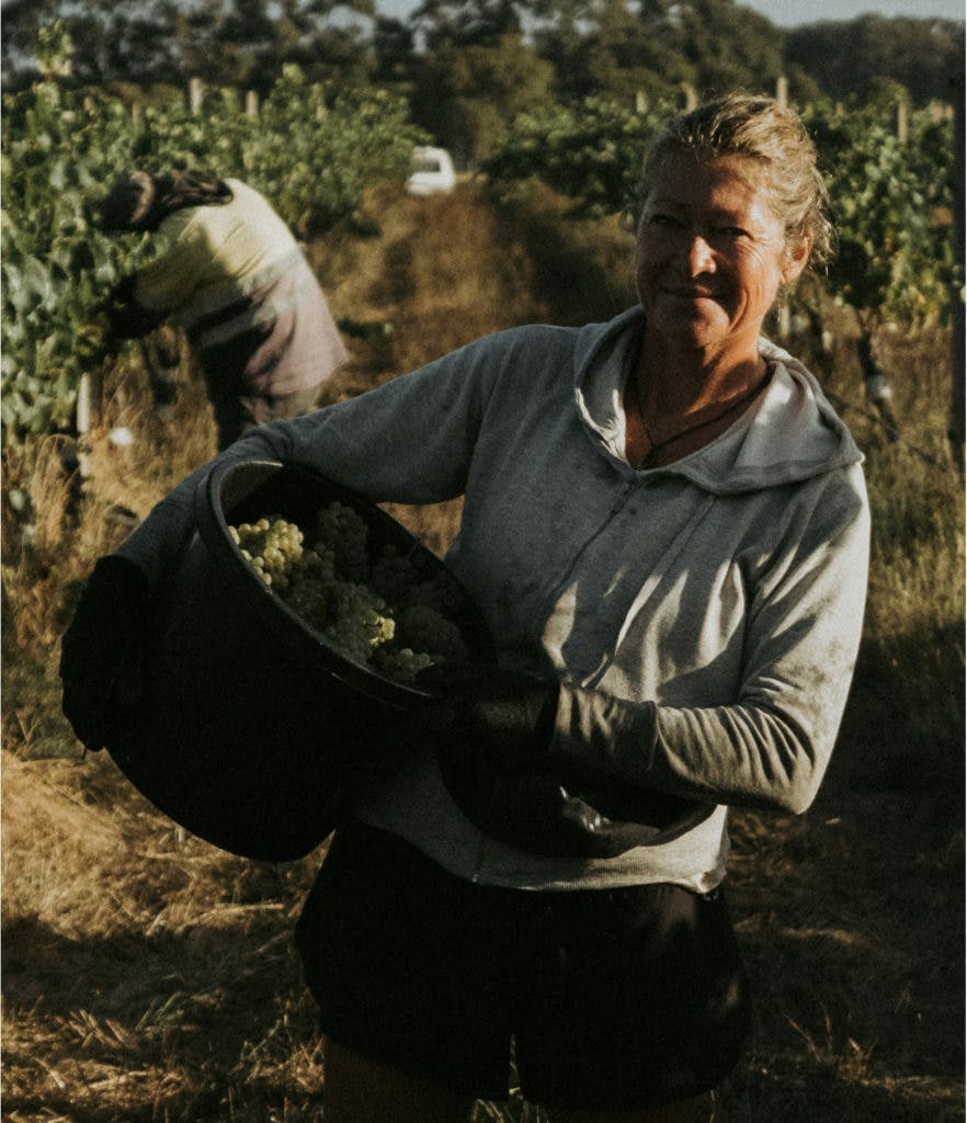 Karridale 7 1 882x1024