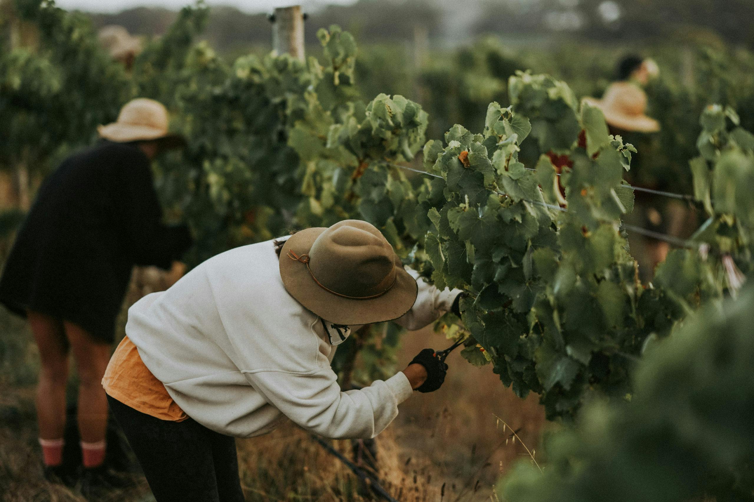 TOMPEARSALL COM 11 scaled