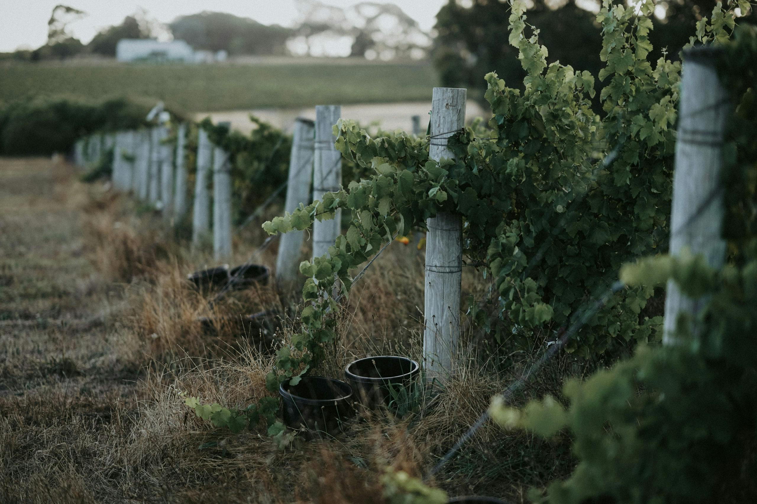 TOMPEARSALL COM 43 scaled