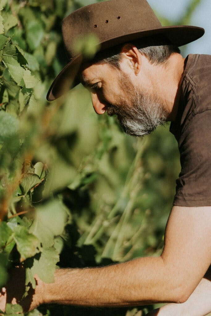 Tom Pearsall 03180 edit 683x1024