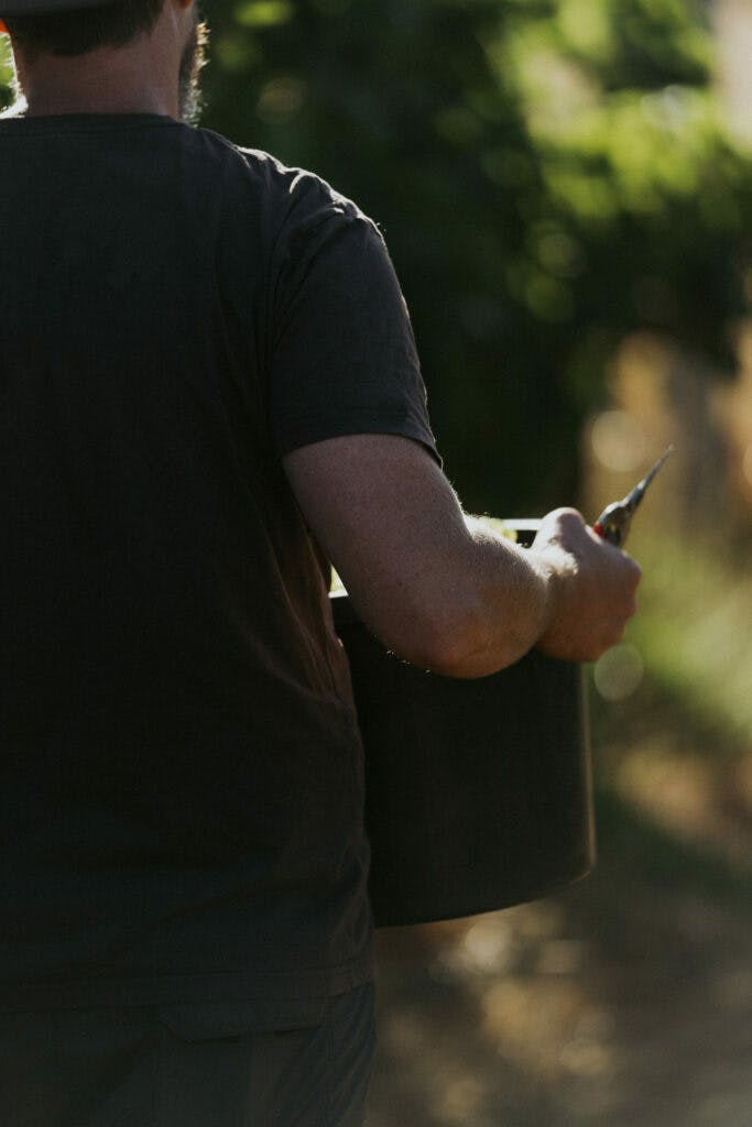 Tom Pearsall 03246 edit 683x1024