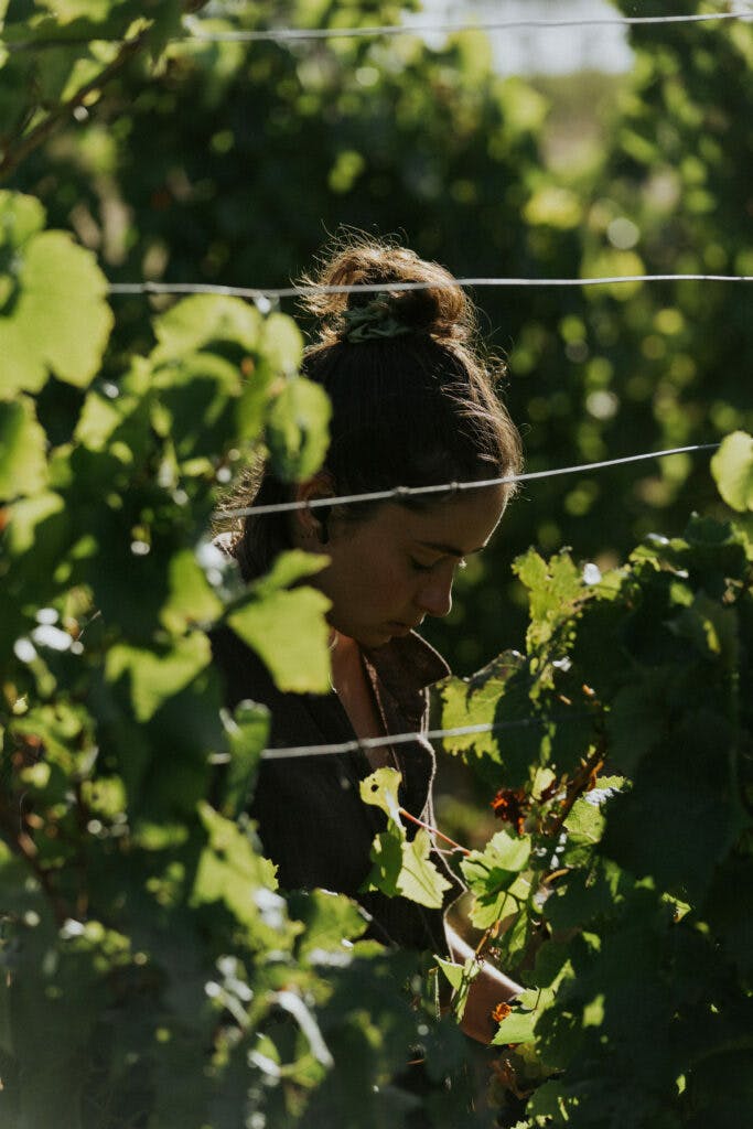 Tom Pearsall 03319 683x1024