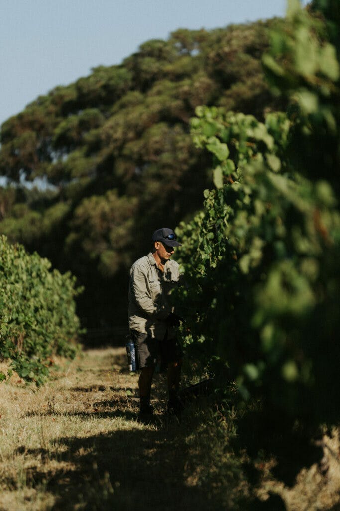 Tom Pearsall 03347 683x1024