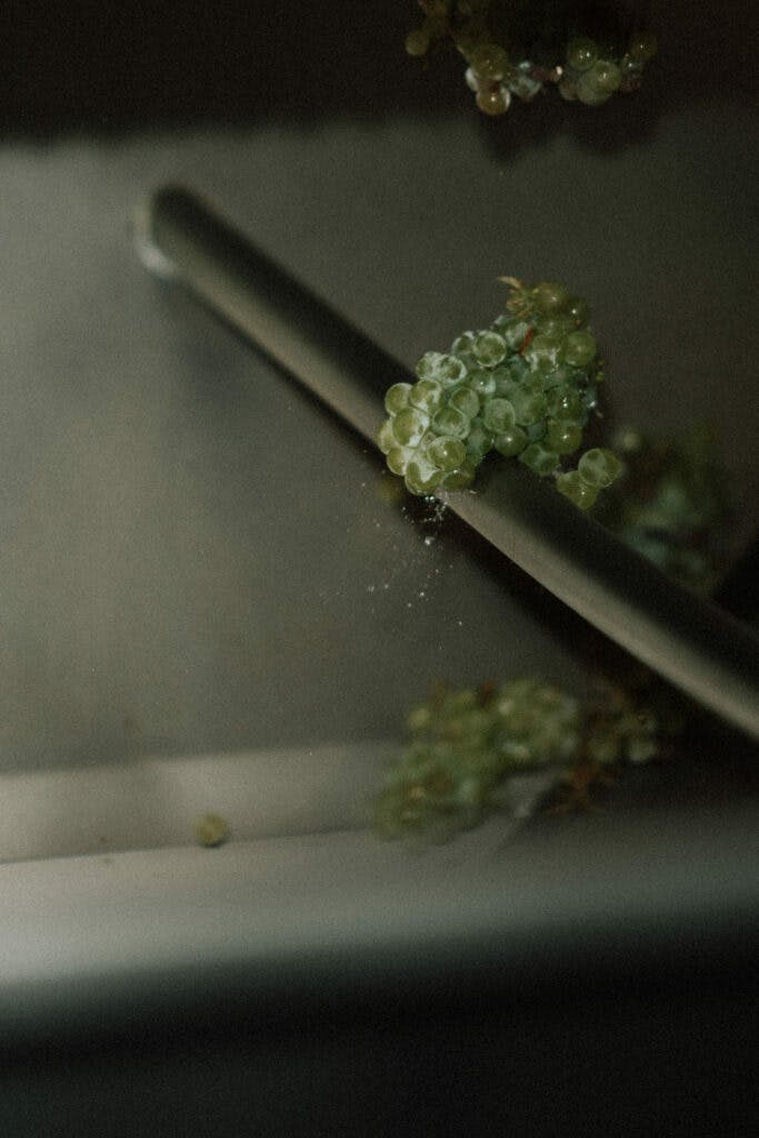 Tom Pearsall 1 683x1024