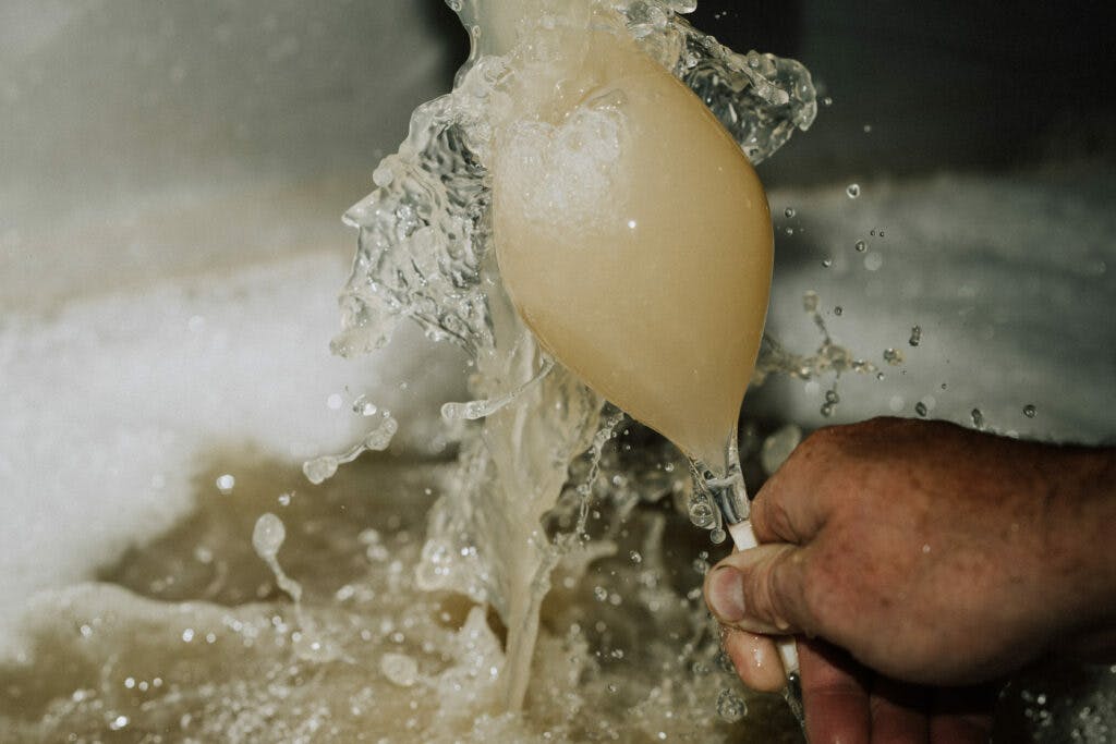 Tom Pearsall 159 1024x683