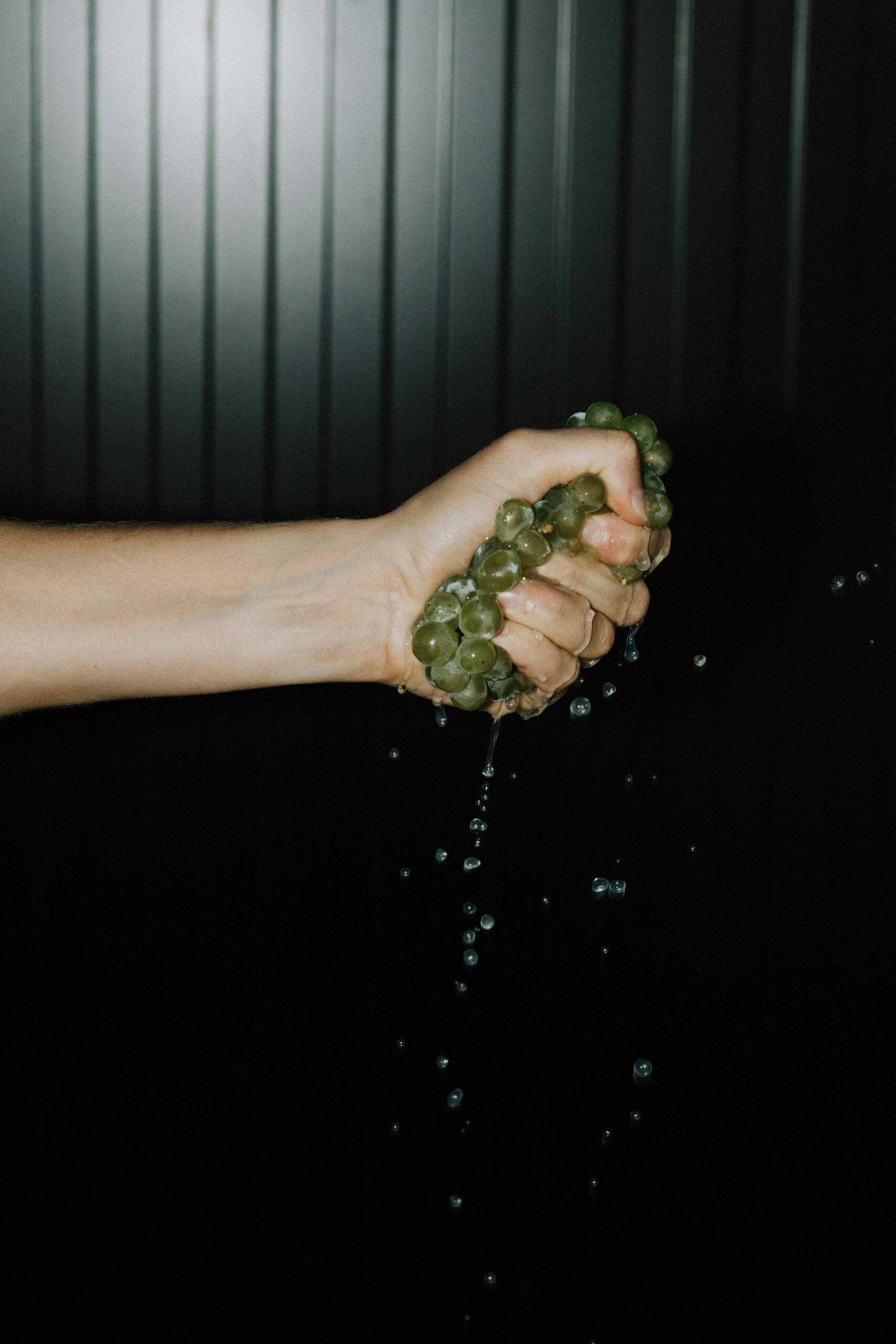 Tom Pearsall 243 scaled