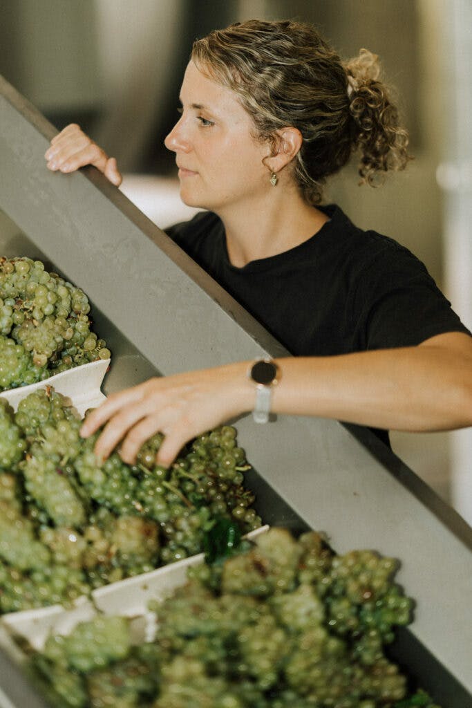 Tom Pearsall 50 683x1024