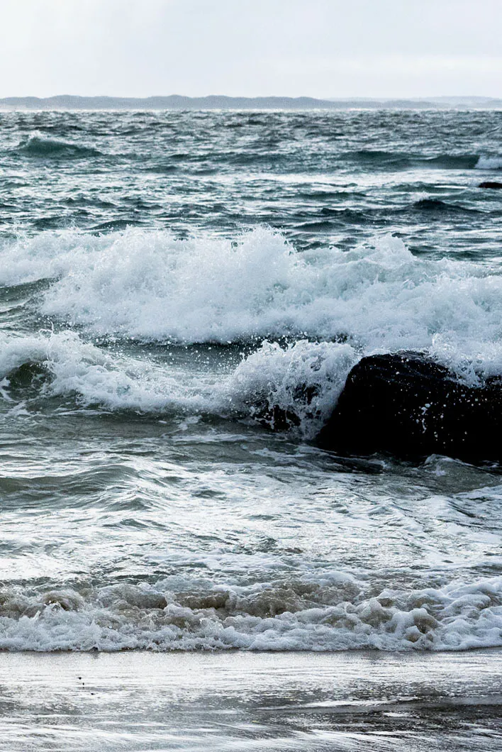 Southern Ocean