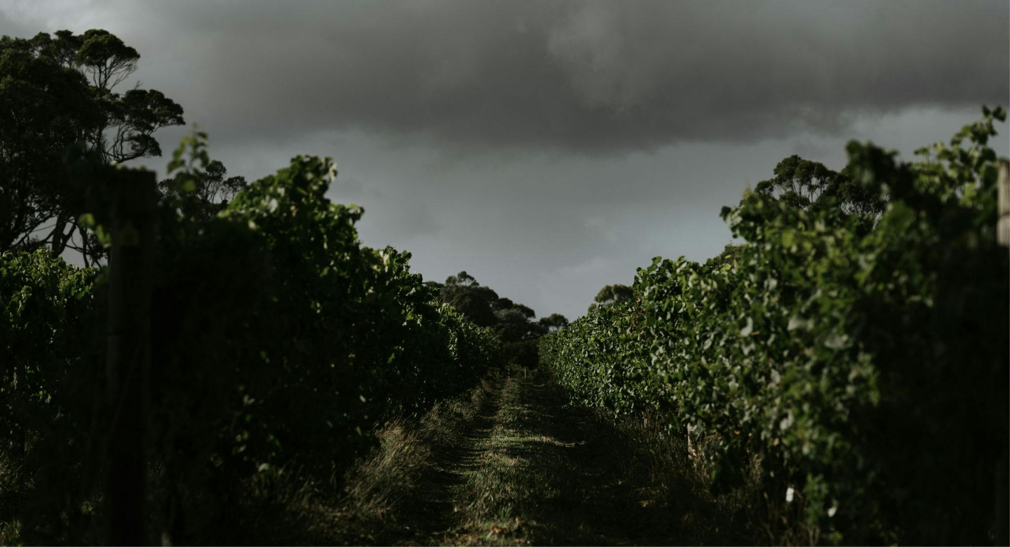 Karridale 3 2048x1110